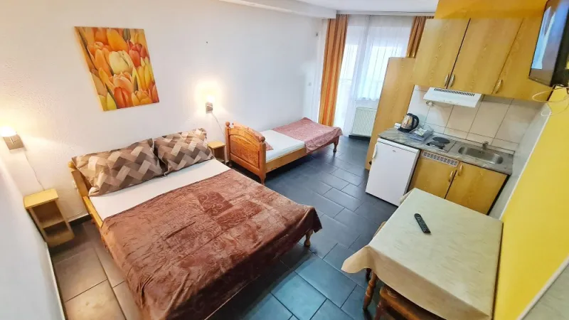 Studio 1 vila Aleksandra