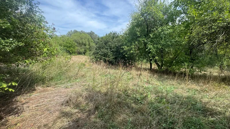 Na prodaju plac 60 ari – Trgovište, Sokobanja