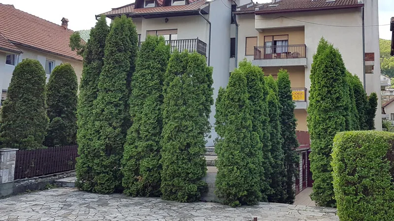 Apartmani Rakić